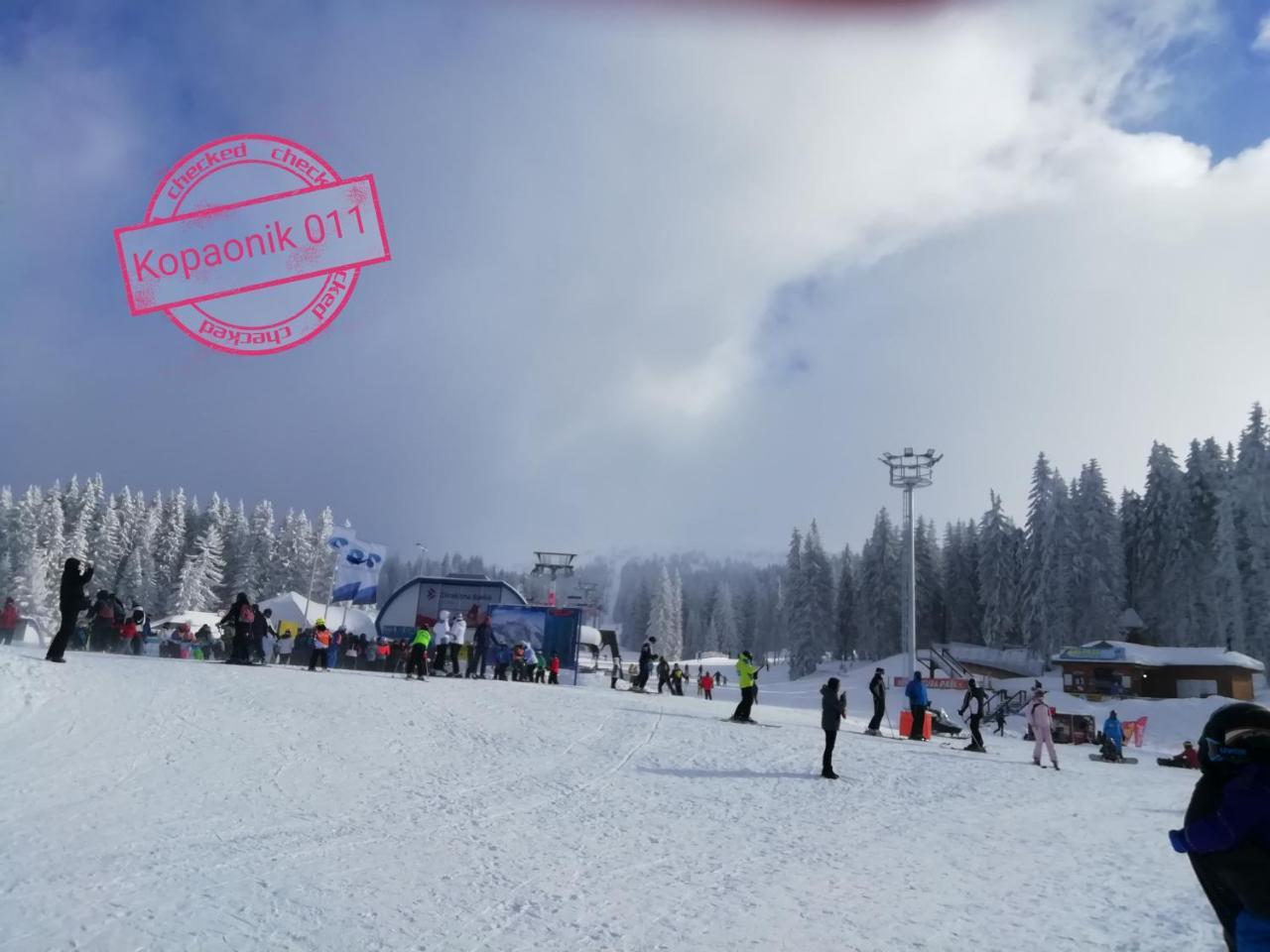 Kopaonik011 Konaci&Woodside Apartments エクステリア 写真